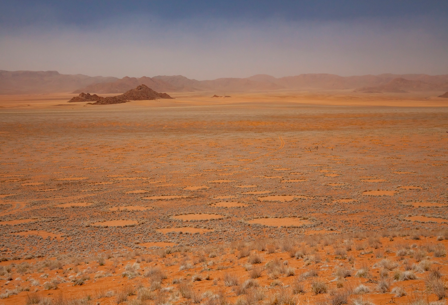 I misteri dei cerchi delle fate in Namibia